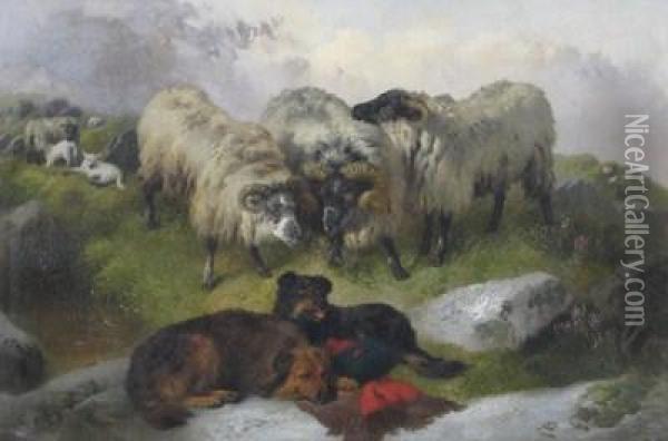 Sheep And Dogs In A Highland Landscape Oil Painting - Richard Ansdell