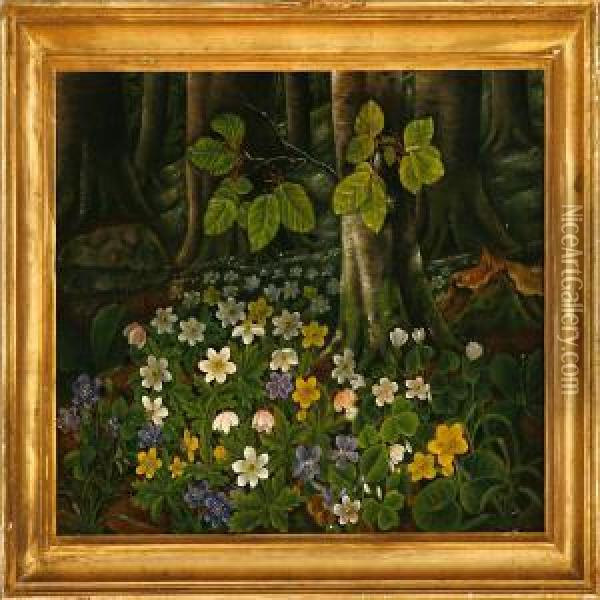 Poppies In Aforest Floor Oil Painting - Anthonie, Anthonore Christensen