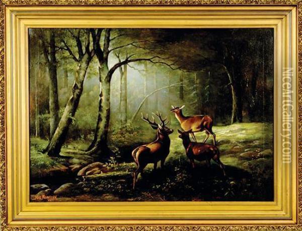 Wooded Landscape With Deer Oil Painting - Hal Alexander Courtney Morrison