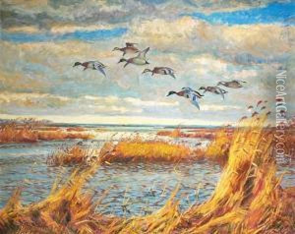 Scenery With Flying Ducks. Signed William Gislander Oil Painting - William Gislander