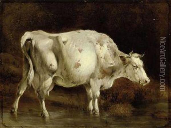 Study Of A Cow Oil Painting - James Ward