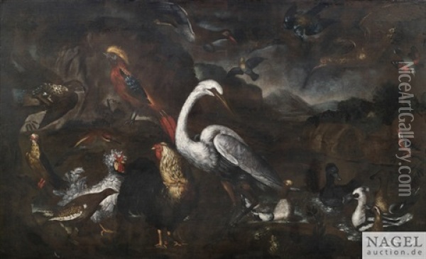 Weite Landschaft Mit Zahlreichen Arten Von Vogeln Oil Painting - Melchior de Hondecoeter
