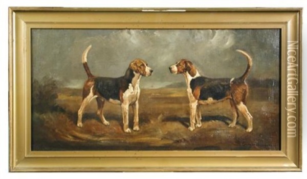 Study Of A Foxhound Couple Oil Painting - Cuthbert Bradley