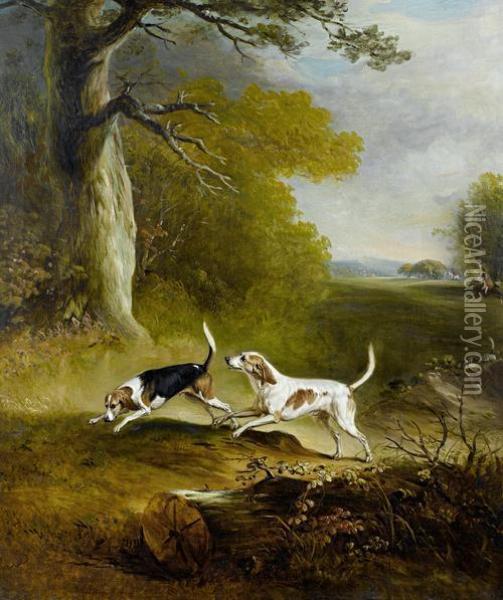 Hounds On The Scent Oil Painting - John Snr Ferneley