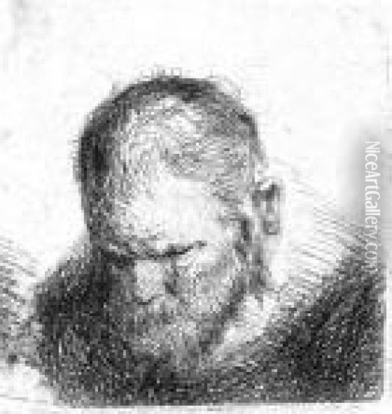 Kopf Eines Niederblickenden Mannes Mit Kurzem Haar Oil Painting - Rembrandt Van Rijn