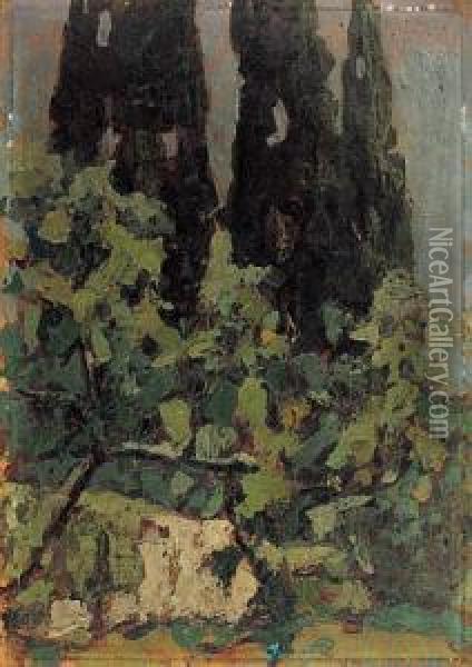 Cyprysy I Oliwki, 1932 R. Oil Painting - Jan Bohuszewicz