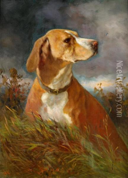 Hundportratt Oil Painting - Anton Schrodl