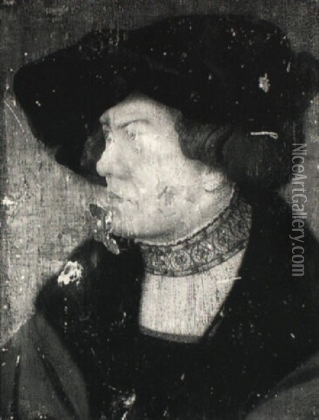 A Portrait Of A Gentleman Oil Painting - Joerg Breu the Elder