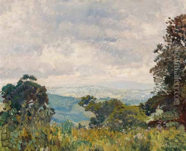 Looking Across George's Valley Oil Painting - Frans David Oerder