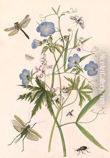Meadow Crane's-bill, and Wild Pea with dragonflies and a stag beetle Oil Painting - Thomas Robins