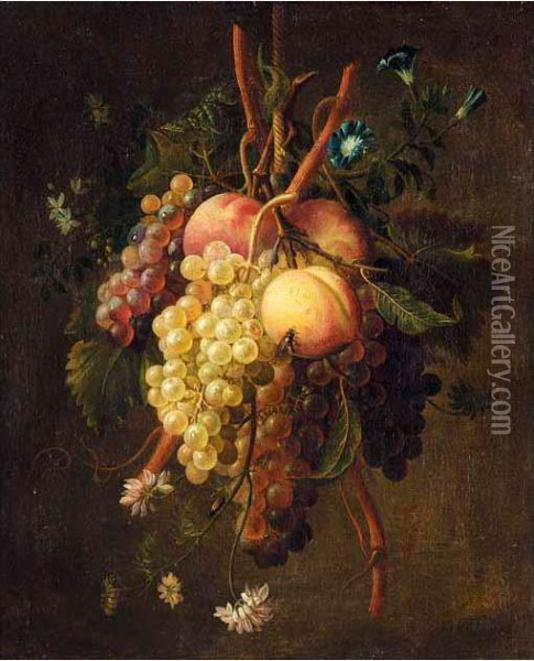 A Still Life Of Grapes, Peaches And Flowers Suspended From A Rope Oil Painting - Francois Nicolas Laurent