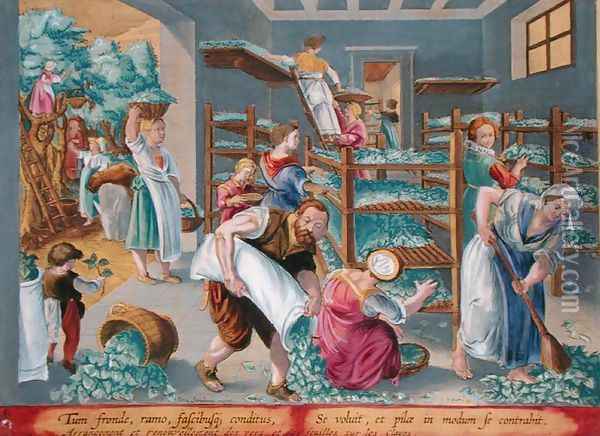 Women Lining Shelves with Mulberry Leaves for the Silkworms, plate 5 from Vermis Sericus The Silkworm engraved by Philip Galle 1537-1612 Oil Painting - Giovanni Stradano