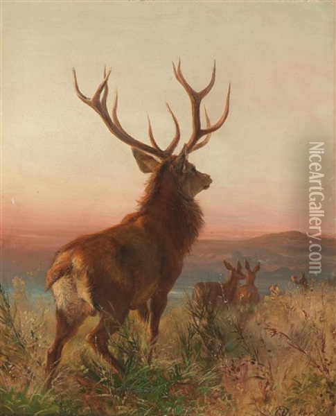 Trophy Stag With Animals At Dusk Oil Painting - Carl Friedrich Deiker