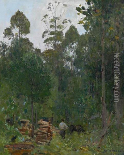 Timber Cutting, Longacres, Olinda Oil Painting - Arthur Ernest Streeton