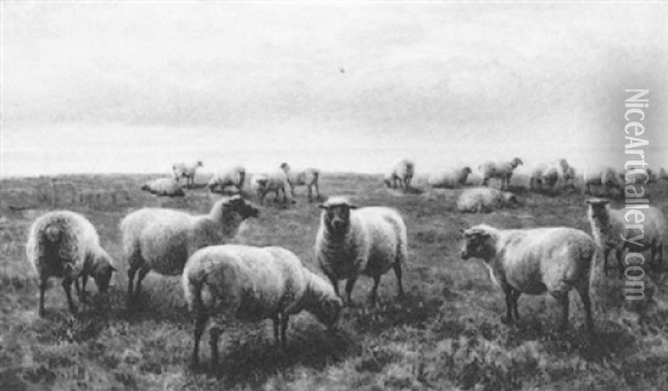 Sheep By The Shore Oil Painting - Charles Jones