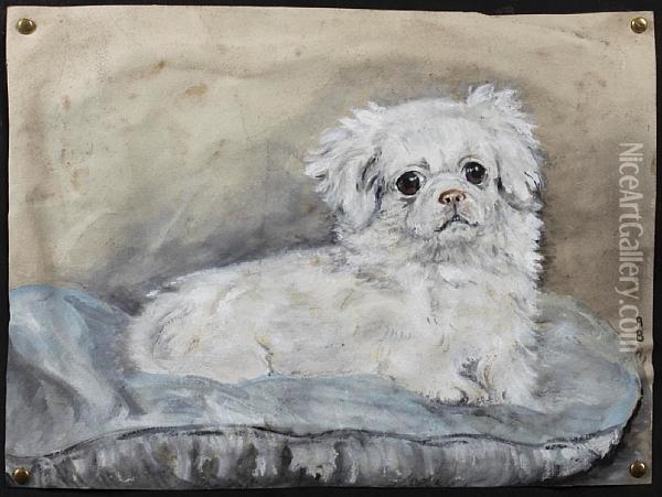 Study Of A Pekinese Oil Painting - George Percy Jacomb-Hood