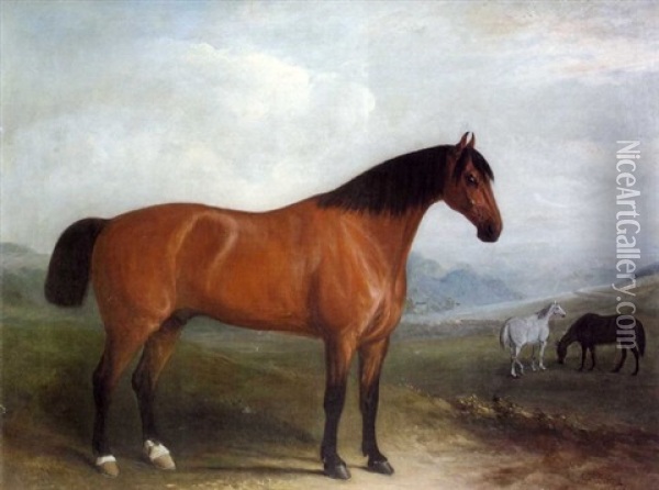 Portrait Of A Bay Hunter In Landscape With Grey And Chestnut Horses Oil Painting - John Ferneley Jr.