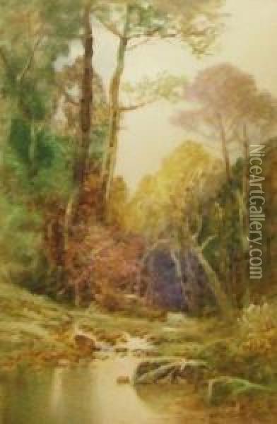 A Woodland Pool Oil Painting - John Shapland