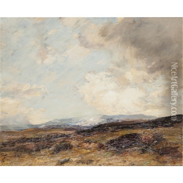 Monadhleath Hills, Autumn Oil Painting - James Campbell Noble