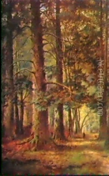 Pirschgang Im Hochwald Oil Painting - John Nesbitt