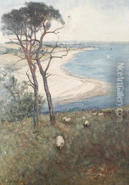 Sheep Grazing On A Hillside With A Coastal View Beyond Oil Painting - Alexander Wellwood Rattray