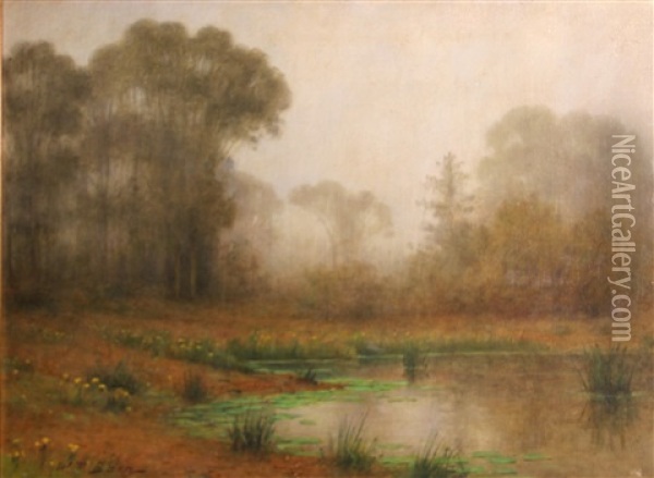 Lily Pond In The Fog Oil Painting - William Barr
