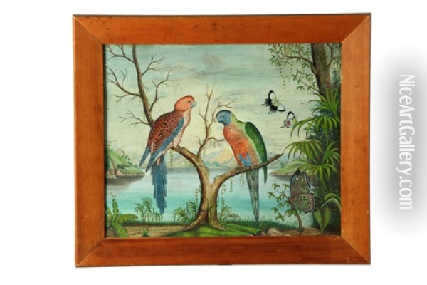 Parrots And Butterflies Near A Lake Oil Painting - Alfred Pettingill