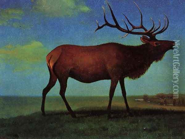 Elk Oil Painting - Albert Bierstadt