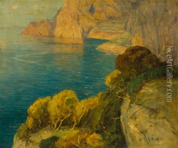 Blick Auf Eine Bucht Mit Steilkuste Im Sommer Oil Painting - George Drah