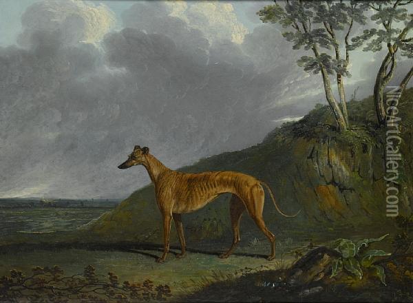 A Brindle Greyhound Bitch In A Landscape Oil Painting - John Frederick Herring Snr