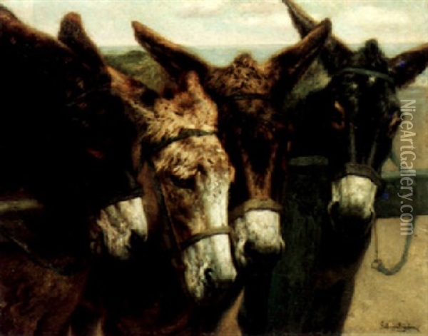 Donkeys Oil Painting - Piet Van Engelen