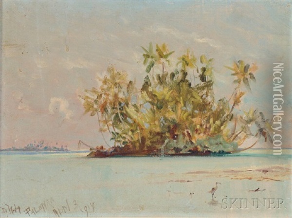 Palmyra Island Oil Painting - David Howard Hitchcock