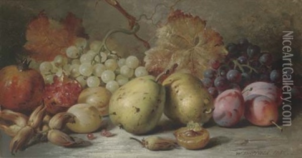Pears, Plums, Grapes, Pomegranites And Hazelnuts Oil Painting - William Duffield