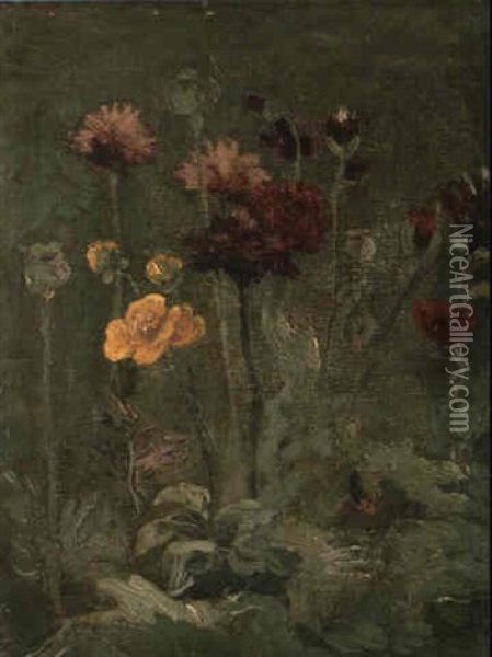 Nature Morte: Scabiosa Et Ranunculus Oil Painting - Vincent Van Gogh