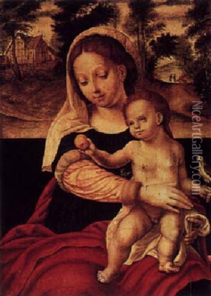 The Madonna And Child Seated With A Parrot Oil Painting - Joos Van Cleve
