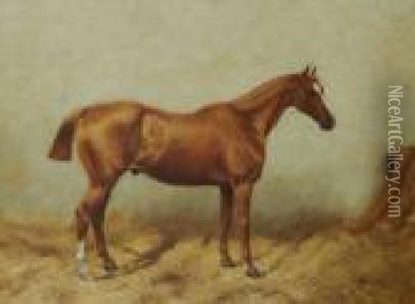 Chestnut Horse In Stable Oil Painting - George Paice