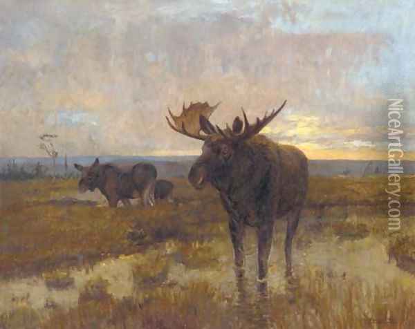 Moose on the marshes, dusk Oil Painting - Scandanavian School