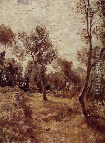 Ulivi Di Capri Oil Painting - Attilio Pratella