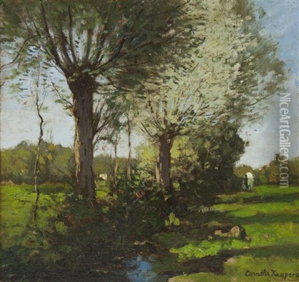 Dutch Landscape (spring) Oil Painting - Cornelis Kuypers
