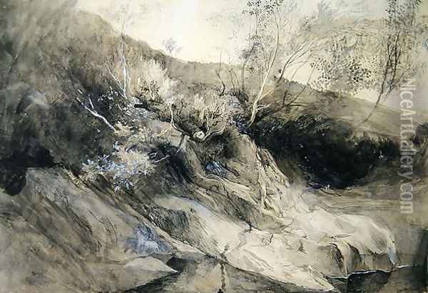 The Rocky Bank of a River - Verso sketch of foliage, c.1853 Oil Painting - John Ruskin
