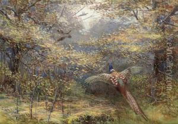 Pheasants In Flight Oil Painting - Charles Whymper
