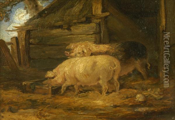 Feeding Time, Pigs In A Sty Oil Painting - James Ward