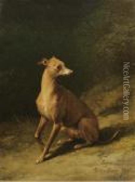 Portrait Of A Whippet Oil Painting - Eugene Verboeckhoven