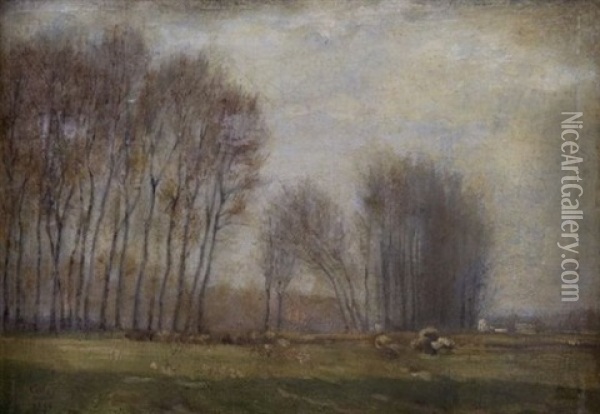 L'allee D'arbres Oil Painting - Adolphe Felix Cals
