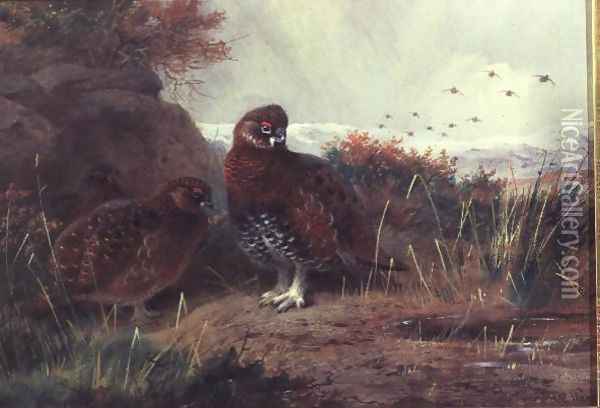 Grouse in a Winter Landscape Oil Painting - Archibald Thorburn