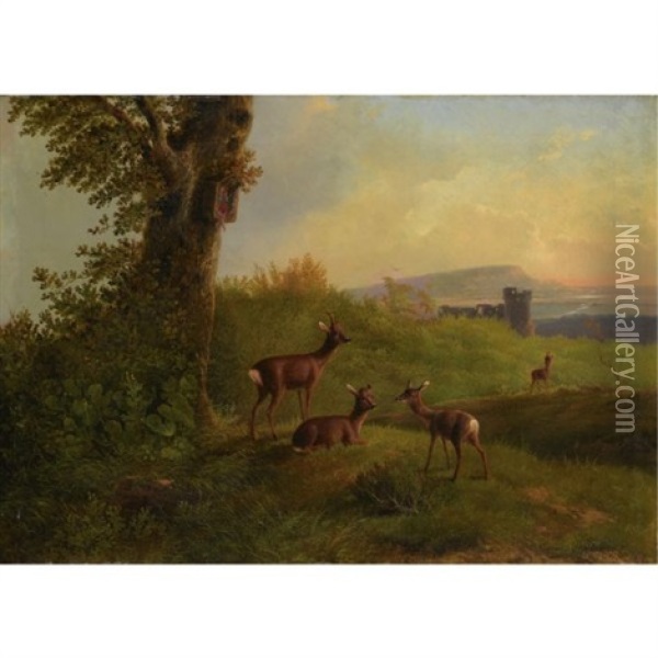 A Deer Family At Pasture Oil Painting - Carl Jutz the Elder