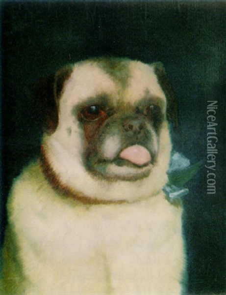 A Pug Oil Painting - Ernest Moore