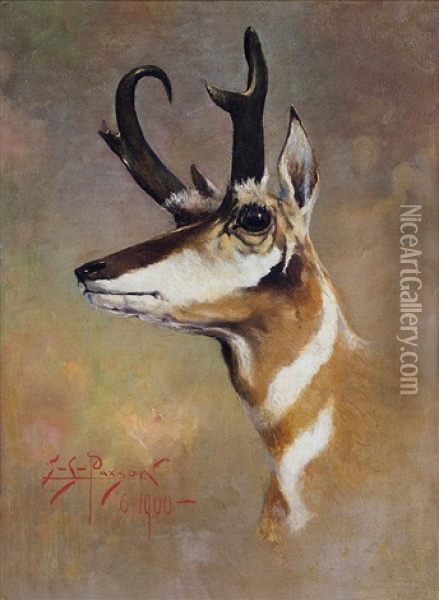 Antelope Oil Painting - Edgar Samuel Paxson