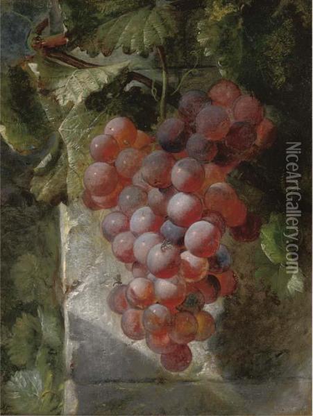 Grapes On The Vine Oil Painting - William Hughes