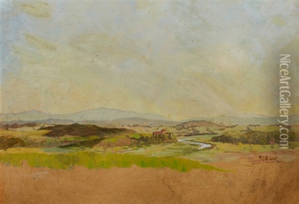 Weite Flusslandschaft Oil Painting - Rudolf Ribarz